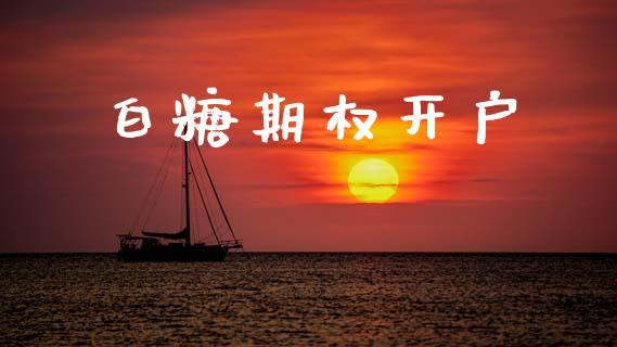 白糖期权开户_https://www.lansai.wang_基金理财_第1张