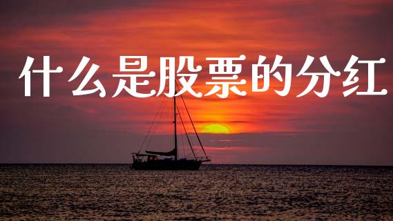 什么是股票的分红_https://www.lansai.wang_期货行情_第1张