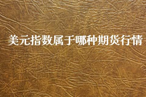 美元指数属于哪种期货行情_https://www.lansai.wang_恒生指数_第1张