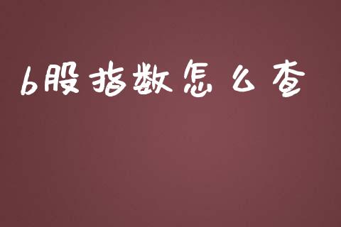 b股指数怎么查_https://www.lansai.wang_股票问答_第1张