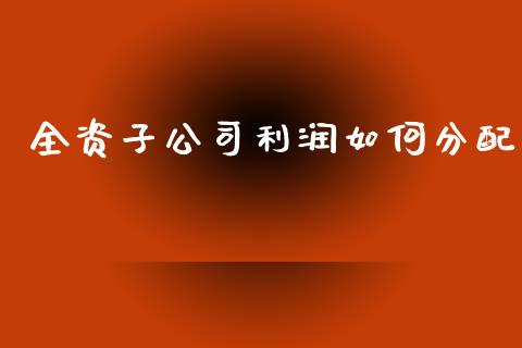 全资子公司利润如何分配_https://www.lansai.wang_期货行情_第1张