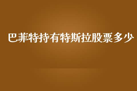 巴菲特持有特斯拉股票多少_https://www.lansai.wang_股票问答_第1张