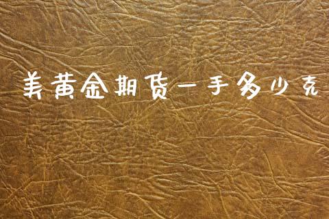 美黄金期货一手多少克_https://www.lansai.wang_期货行情_第1张