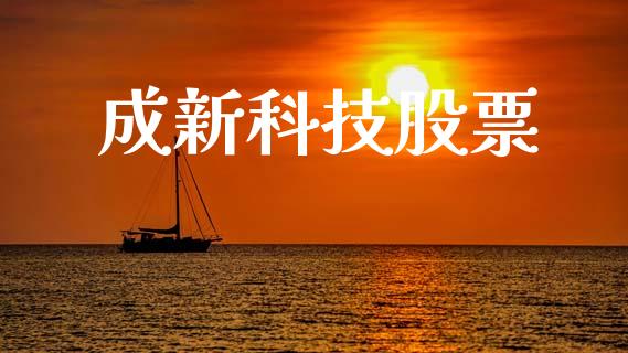 成新科技股票_https://www.lansai.wang_基金理财_第1张