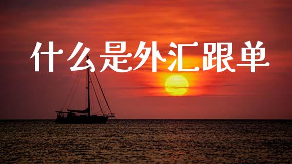 什么是外汇跟单_https://www.lansai.wang_股指期货_第1张