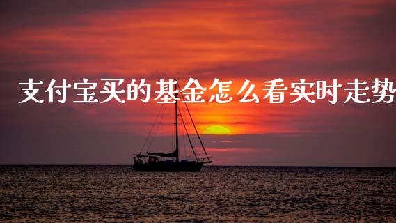 支付宝买的基金怎么看实时走势_https://www.lansai.wang_基金理财_第1张