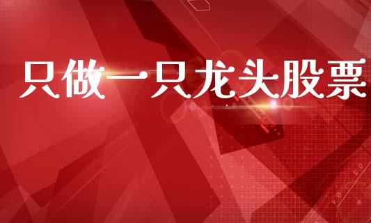 只做一只龙头股票_https://www.lansai.wang_期货资讯_第1张