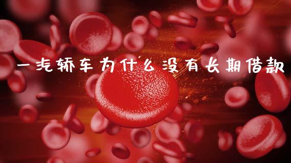 一汽轿车为什么没有长期借款_https://www.lansai.wang_期货行情_第1张