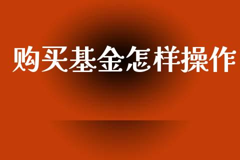 购买基金怎样操作_https://www.lansai.wang_未分类_第1张