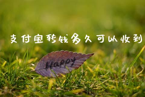 支付宝转钱多久可以收到_https://www.lansai.wang_期货品种_第1张