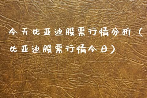 今天比亚迪股票行情分析（比亚迪股票行情今日）_https://www.lansai.wang_股票问答_第1张