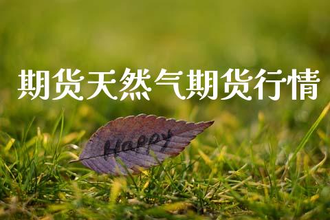 期货天然气期货行情_https://www.lansai.wang_期货品种_第1张