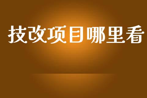 技改项目哪里看_https://www.lansai.wang_股票问答_第1张