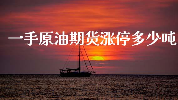 一手原油期货涨停多少吨_https://www.lansai.wang_期货行情_第1张