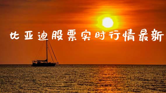 比亚迪股票实时行情最新_https://www.lansai.wang_股票知识_第1张