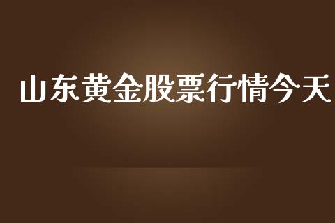 山东黄金股票行情今天_https://www.lansai.wang_股票知识_第1张