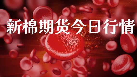 新棉期货今日行情_https://www.lansai.wang_未分类_第1张