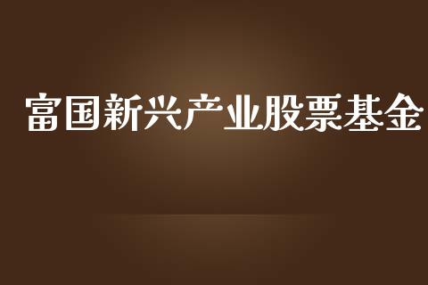 富国新兴产业股票基金_https://www.lansai.wang_基金理财_第1张