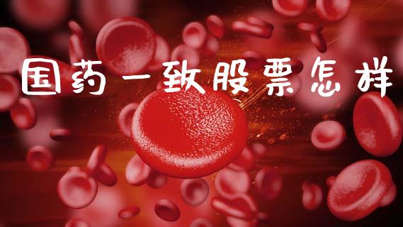 国药一致股票怎样_https://www.lansai.wang_期货行情_第1张