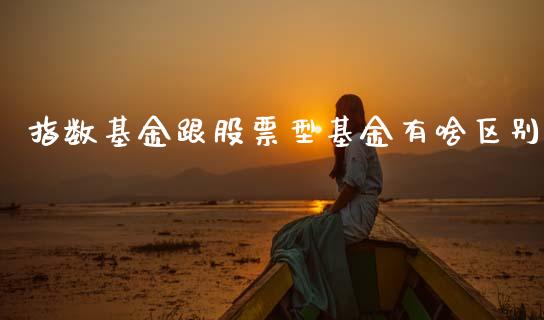 指数基金跟股票型基金有啥区别_https://www.lansai.wang_基金理财_第1张