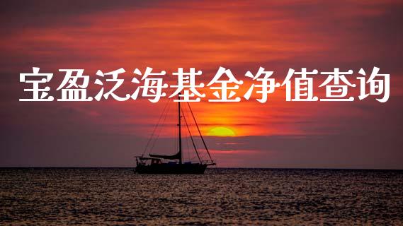 宝盈泛海基金净值查询_https://www.lansai.wang_基金理财_第1张