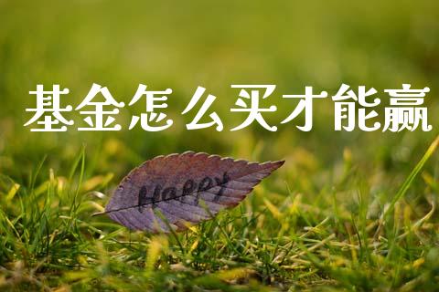 基金怎么买才能赢_https://www.lansai.wang_基金理财_第1张