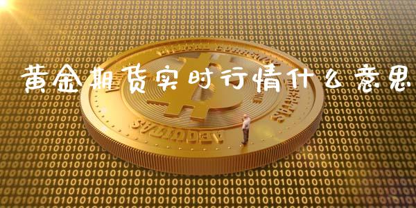 黄金期货实时行情什么意思_https://www.lansai.wang_未分类_第1张