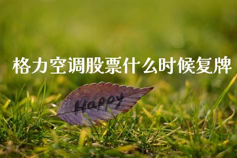 格力空调股票什么时候复牌_https://www.lansai.wang_期货行情_第1张