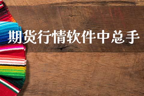 期货行情软件中总手_https://www.lansai.wang_期货资讯_第1张