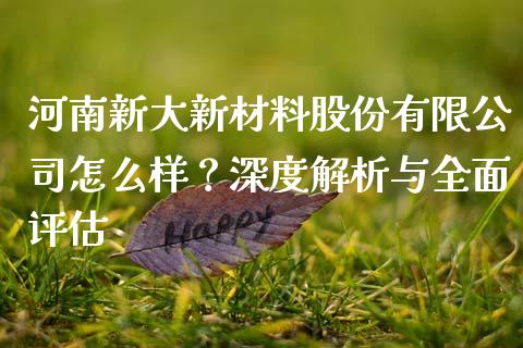 河南新大新材料股份有限公司怎么样？深度解析与全面评估_https://www.lansai.wang_股票问答_第1张