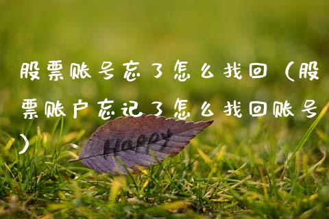 股票账号忘了怎么找回（股票账户忘记了怎么找回账号）_https://www.lansai.wang_股票知识_第1张