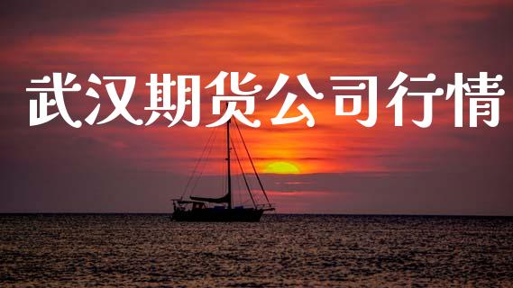 武汉期货公司行情_https://www.lansai.wang_未分类_第1张