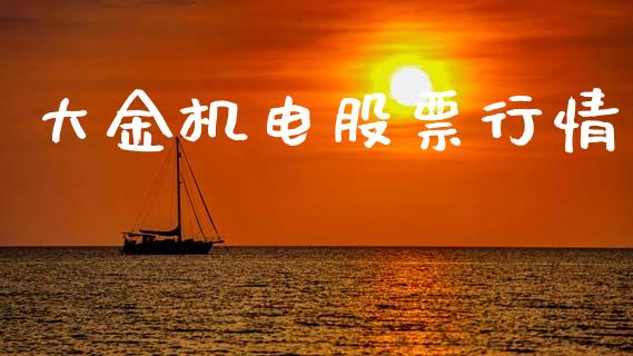 大金机电股票行情_https://www.lansai.wang_股票知识_第1张
