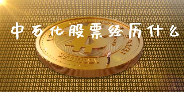中石化股票经历什么_https://www.lansai.wang_期货行情_第1张