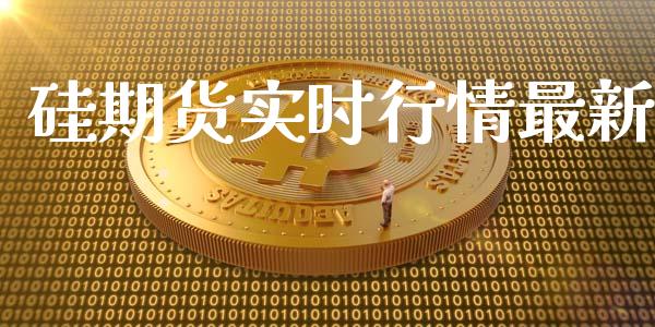 硅期货实时行情最新_https://www.lansai.wang_期货资讯_第1张