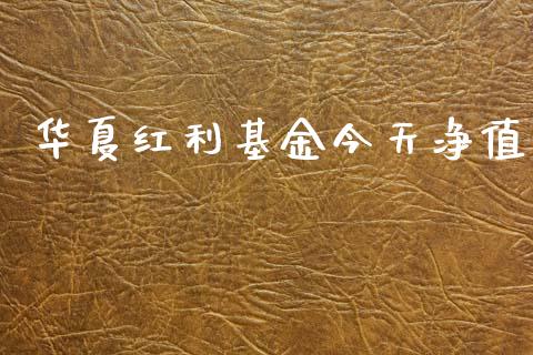 华夏红利基金今天净值_https://www.lansai.wang_理财百科_第1张
