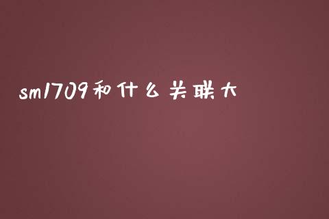 sm1709和什么关联大_https://www.lansai.wang_期货学院_第1张