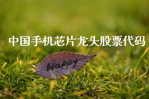 中国手机芯片龙头股票代码_https://www.lansai.wang_期货行情_第1张