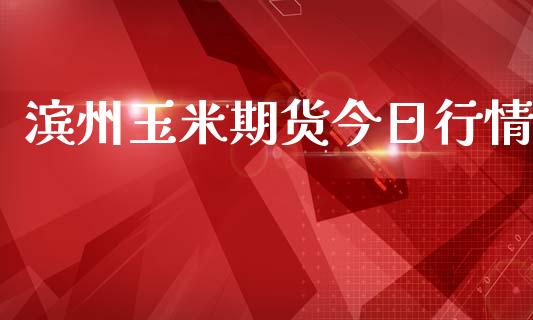 滨州玉米期货今日行情_https://www.lansai.wang_期货学院_第1张