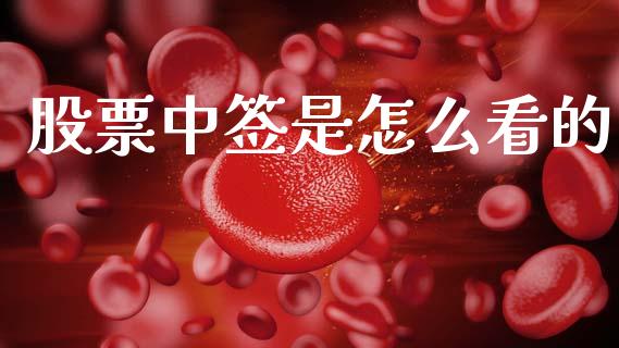股票中签是怎么看的_https://www.lansai.wang_期货行情_第1张
