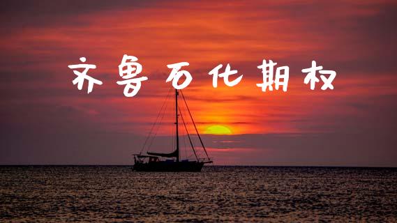 齐鲁石化期权_https://www.lansai.wang_股指期货_第1张