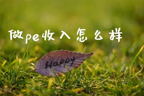 做pe收入怎么样_https://www.lansai.wang_期货行情_第1张