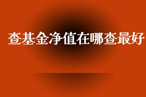 查基金净值在哪查最好_https://www.lansai.wang_基金理财_第1张