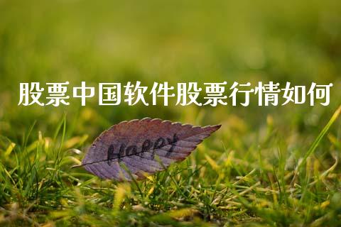 股票中国软件股票行情如何_https://www.lansai.wang_股票知识_第1张