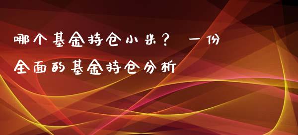 哪个基金持仓小米？ 一份全面的基金持仓分析_https://www.lansai.wang_期货资讯_第1张