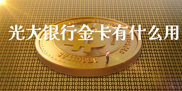 光大银行金卡有什么用_https://www.lansai.wang_股指期货_第1张
