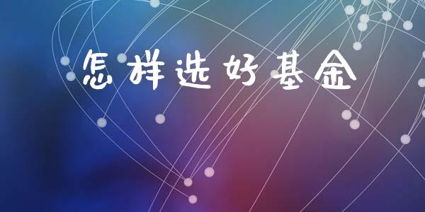 怎样选好基金_https://www.lansai.wang_基金理财_第1张