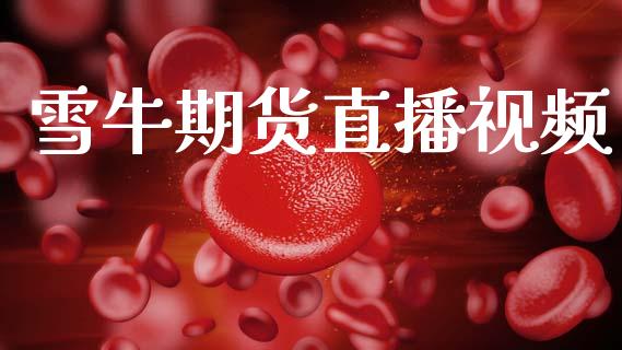 雪牛期货直播视频_https://www.lansai.wang_期货直播_第1张