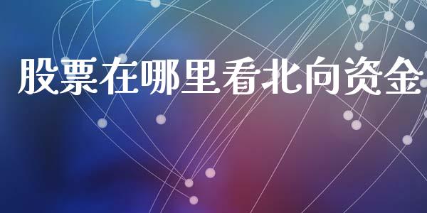 股票在哪里看北向资金_https://www.lansai.wang_基金理财_第1张