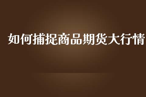 如何捕捉商品期货大行情_https://www.lansai.wang_恒生指数_第1张